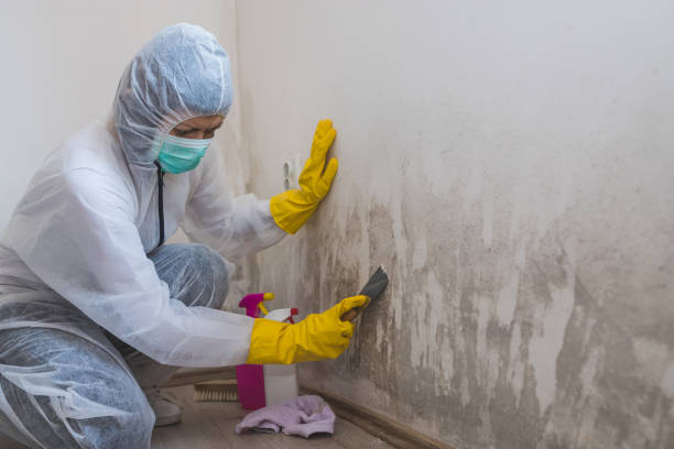 Best Indoor Air Quality Assessment  in Grass Lake, MI