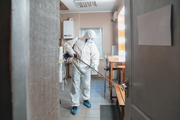 Best Mold Odor Removal Services  in Grass Lake, MI