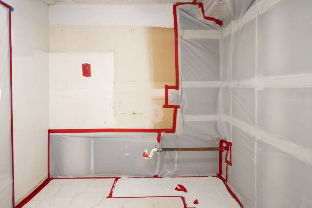 Best Emergency Mold Remediation  in Grass Lake, MI