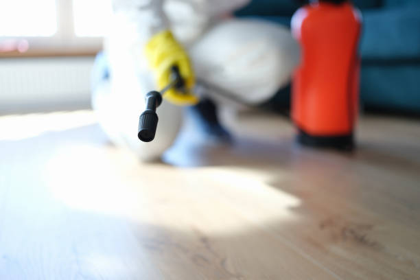 Best Commercial Mold Inspection  in Grass Lake, MI