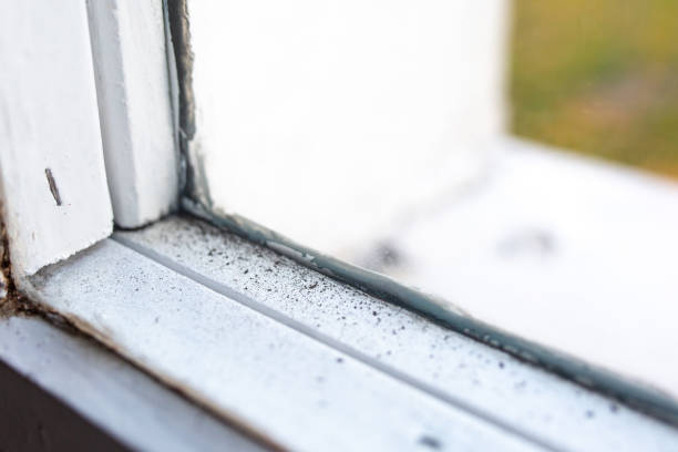 Dehumidification Services in Grass Lake, MI